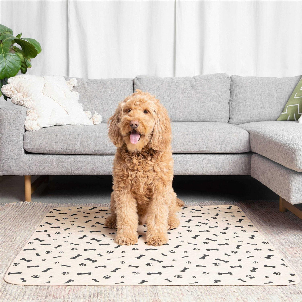 Reusable Pet Pad K755079