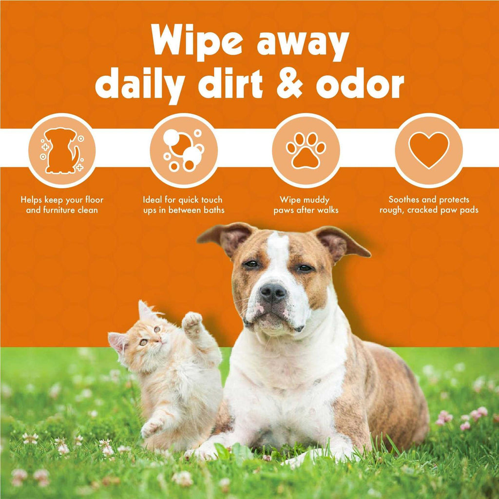 Pet Wipes K383