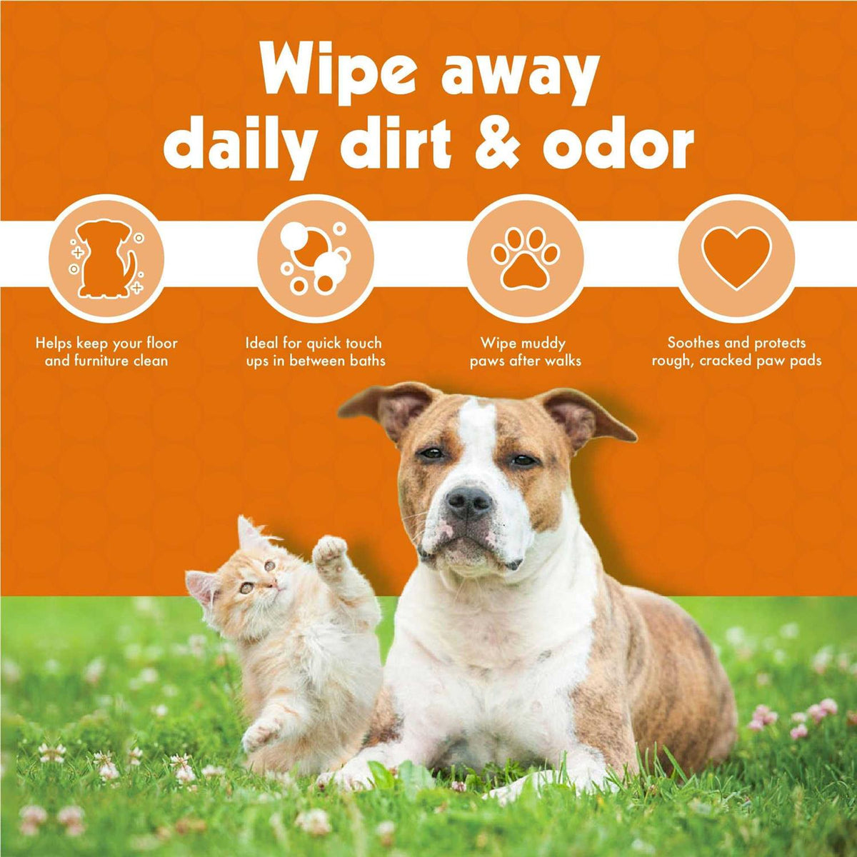 Pet Wipes K383
