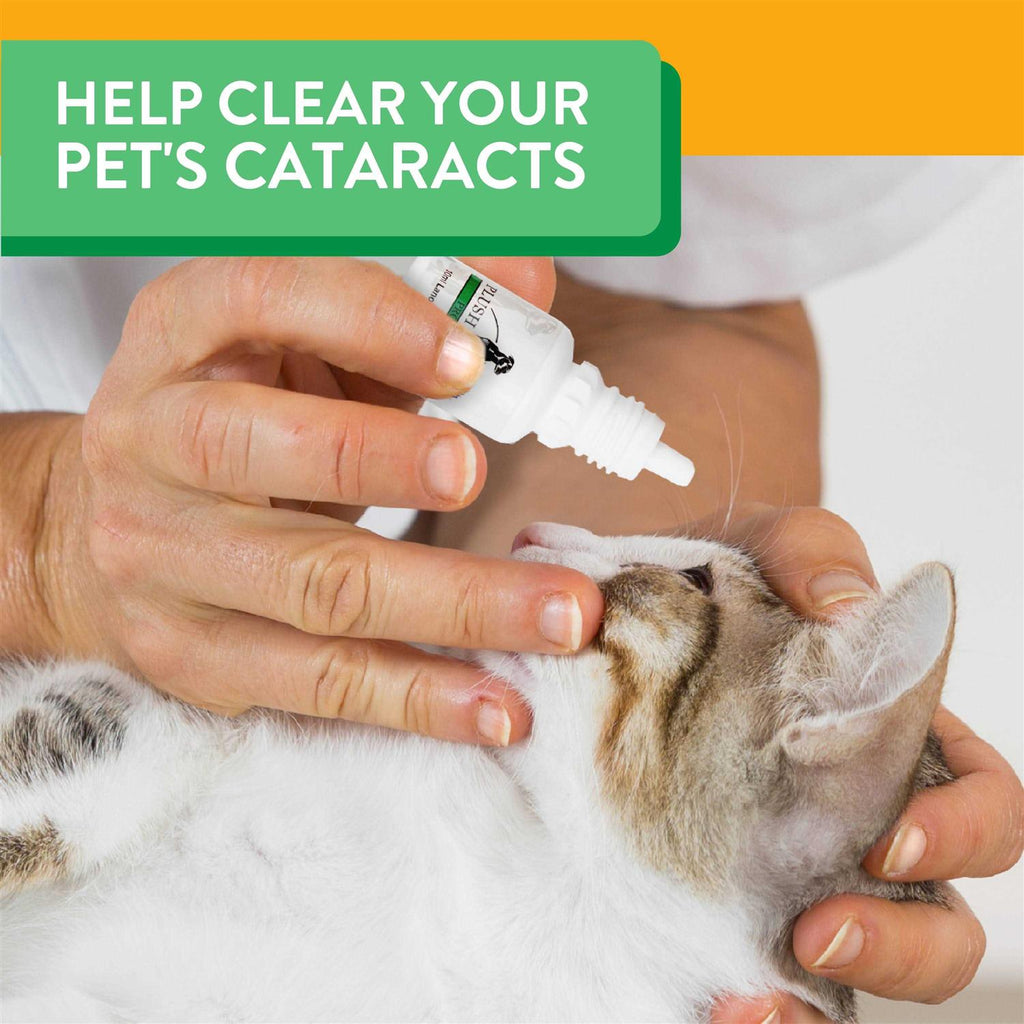 Lanosterol Solution + NAC Pet Supplies L483794