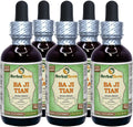 Morinda Dried Root Alcohol-Free Liquid Extract 5x2 fl.oz J76114