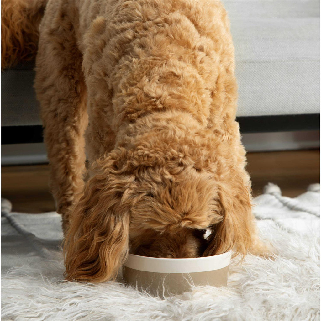 Ceramic Dog Bowl K399