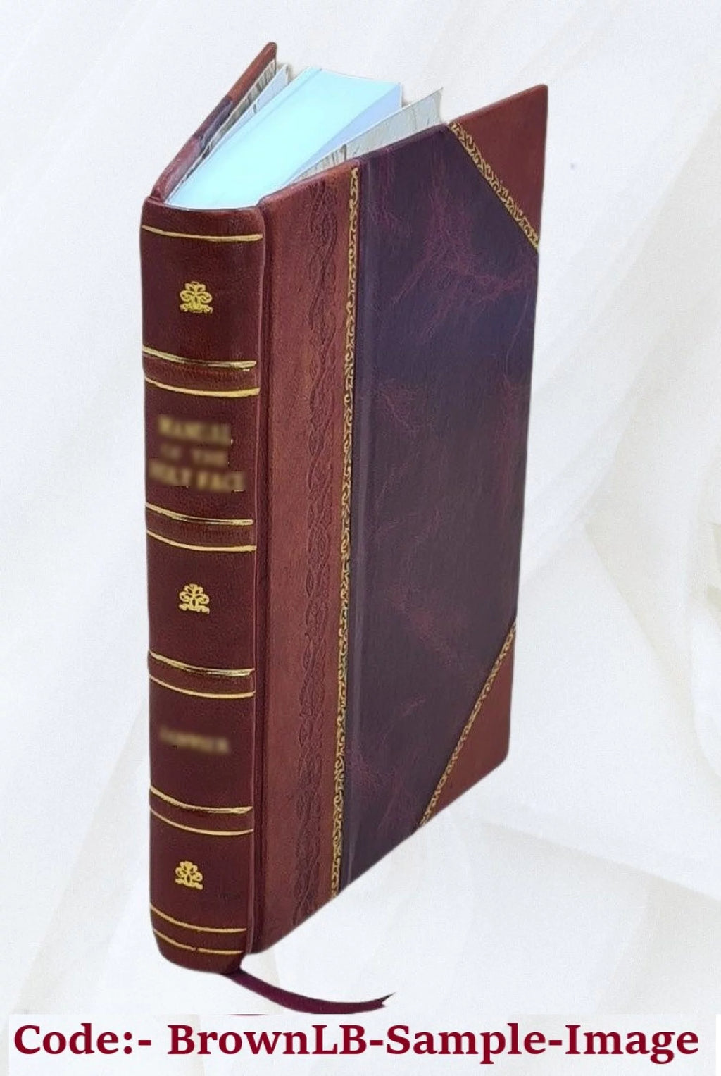 Leather Bound I1014