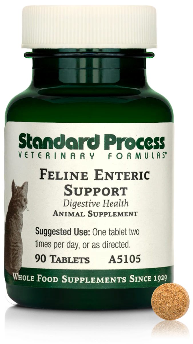 Enteric Support 90 Tablets K521725