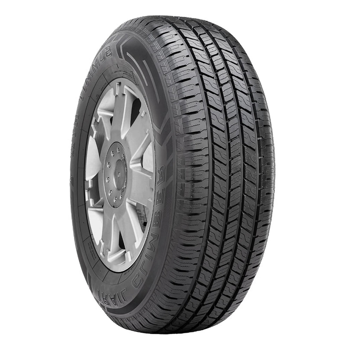 245/70R16 111T XL All Season Light Truck Tire V28665