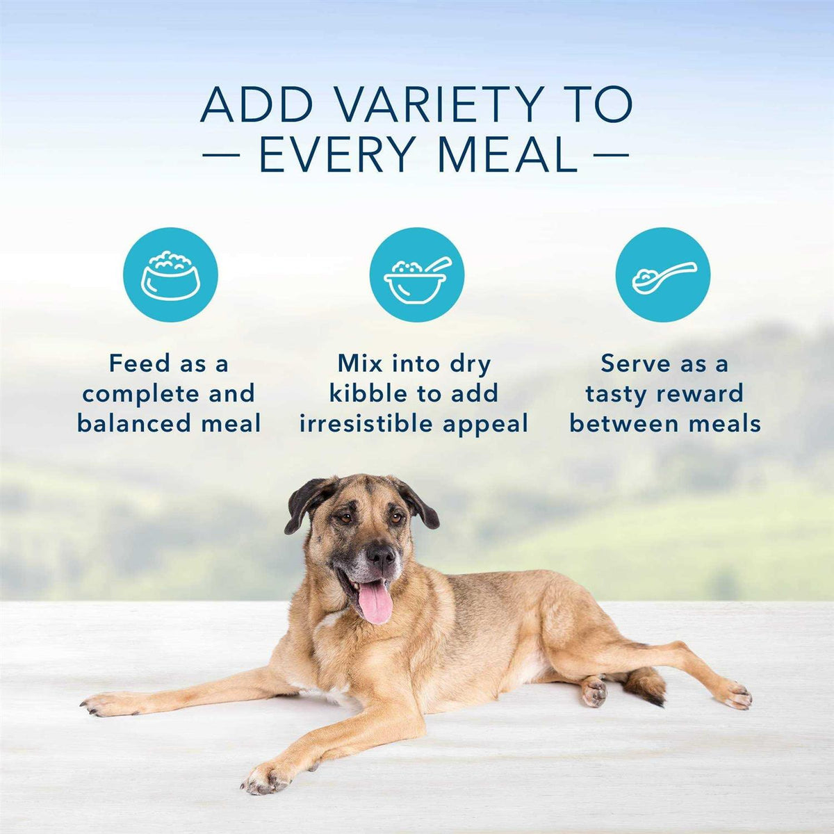 Senior Dog Food Chicken Dinner T510