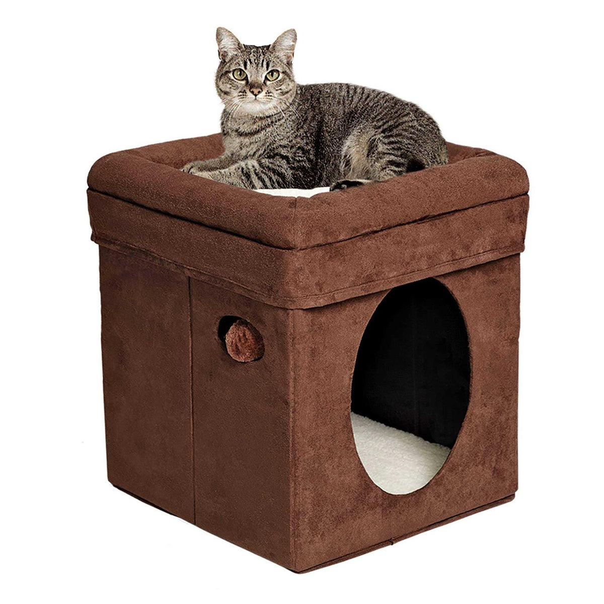 Curious Cat Cube K44993