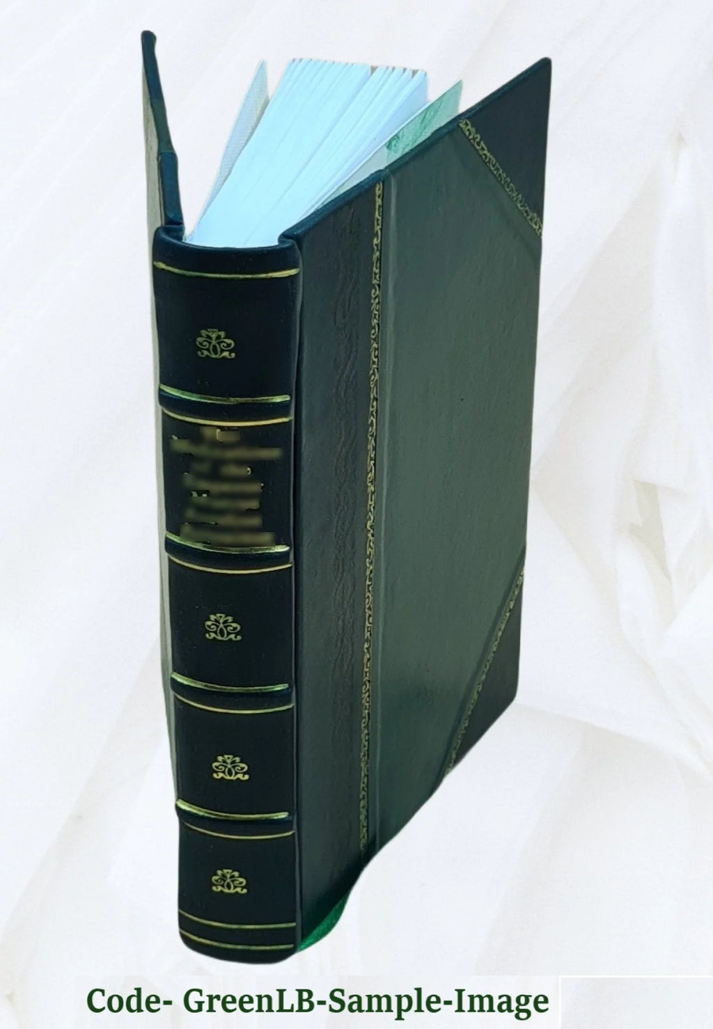 Leather Bound I1014