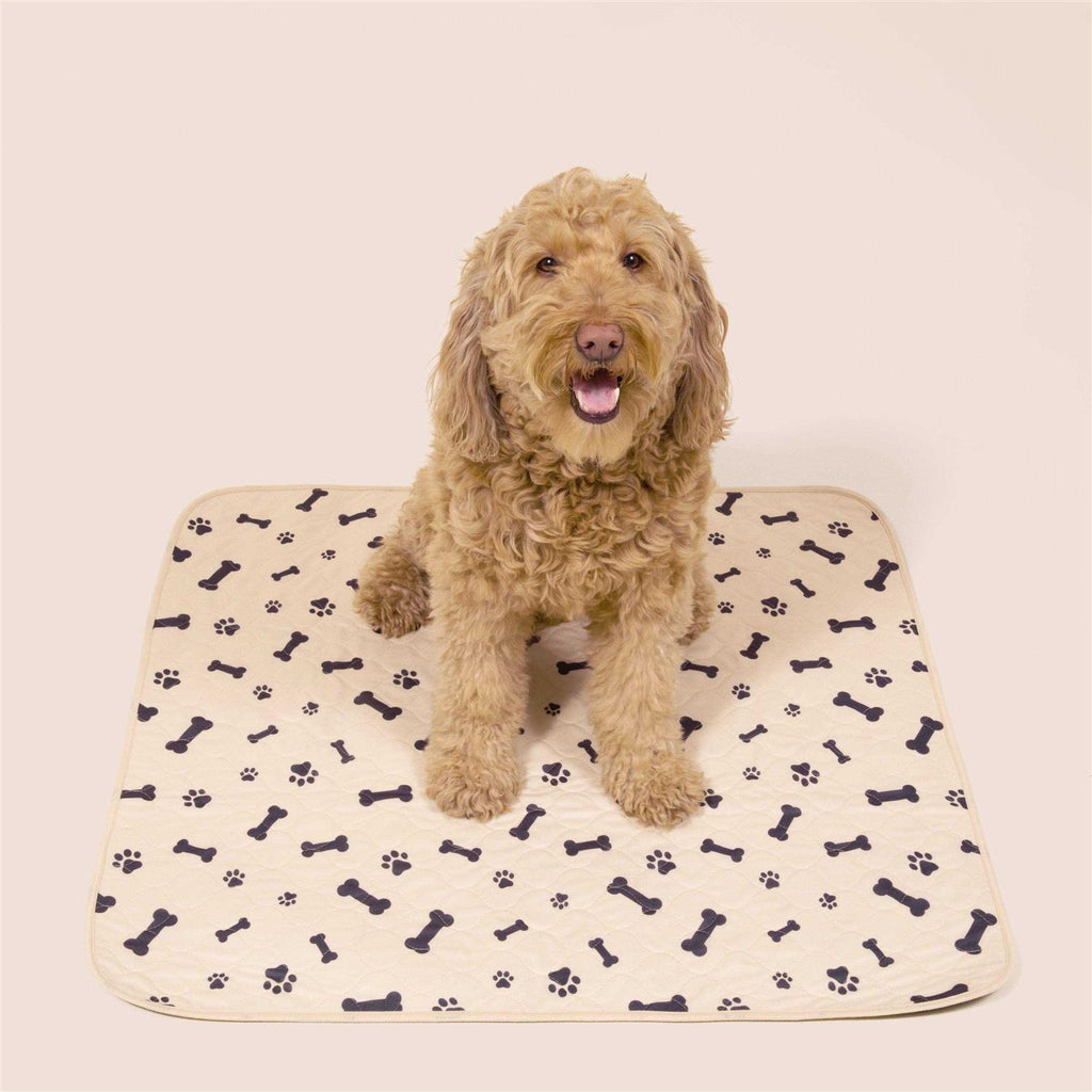 Reusable Pet Pad K755079