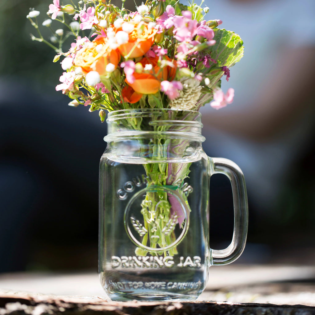 Glass Drinking Jars Set of 12 V988